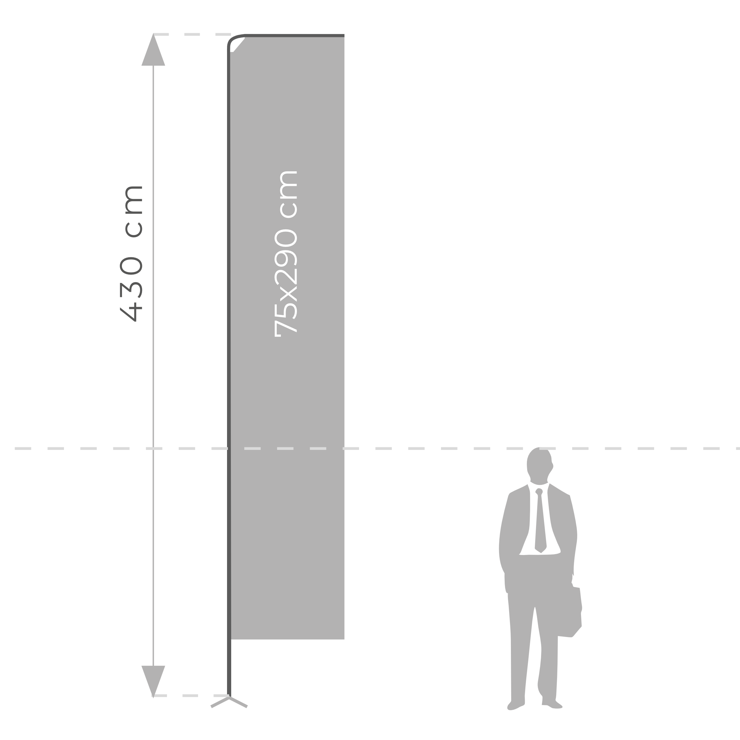 Rectangular flagpole for Winder flag